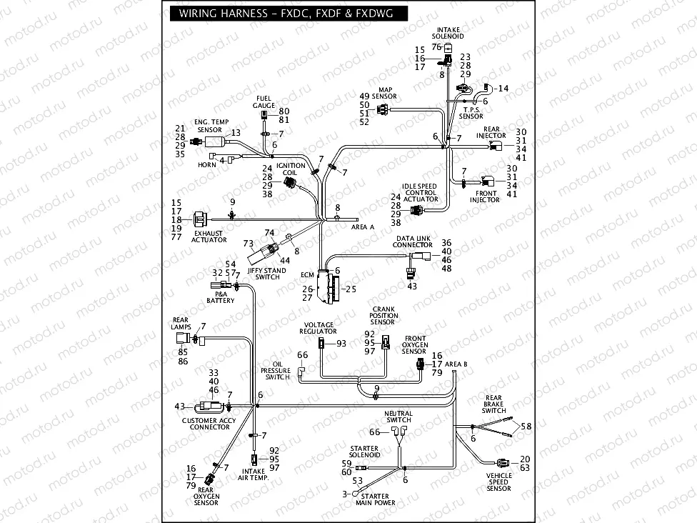 WIRING HARNESS - FXDC, FXDF & FXDWG (2 OF 2)