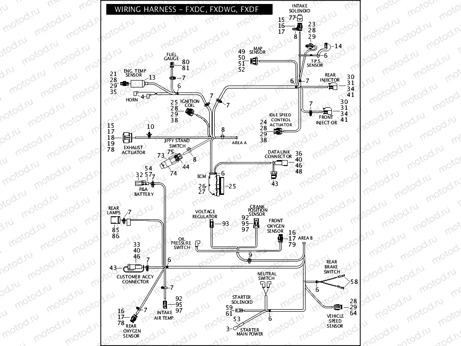 WIRING HARNESS - FXDC, FXDWG & FXDF (CONTINUED)