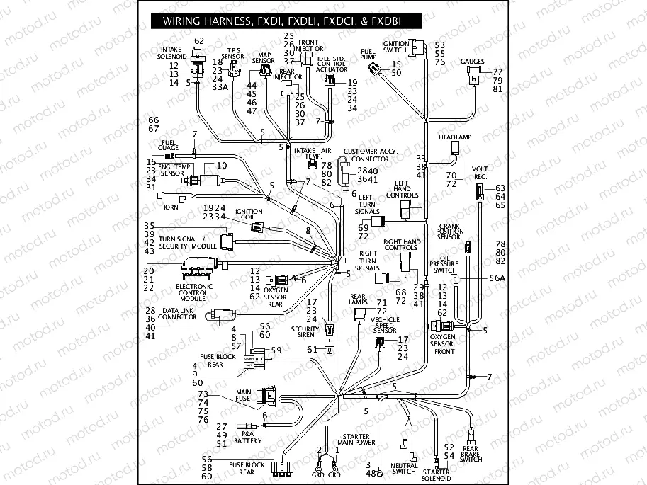 WIRING HARNESS, FXDI, FXDLI, FXDCI, & FXDBI (CONTINUED)