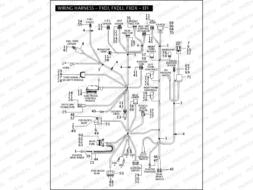 WIRING HARNESS - FXDI, FXDLI, FXDXI - EFI (1 OF 2)