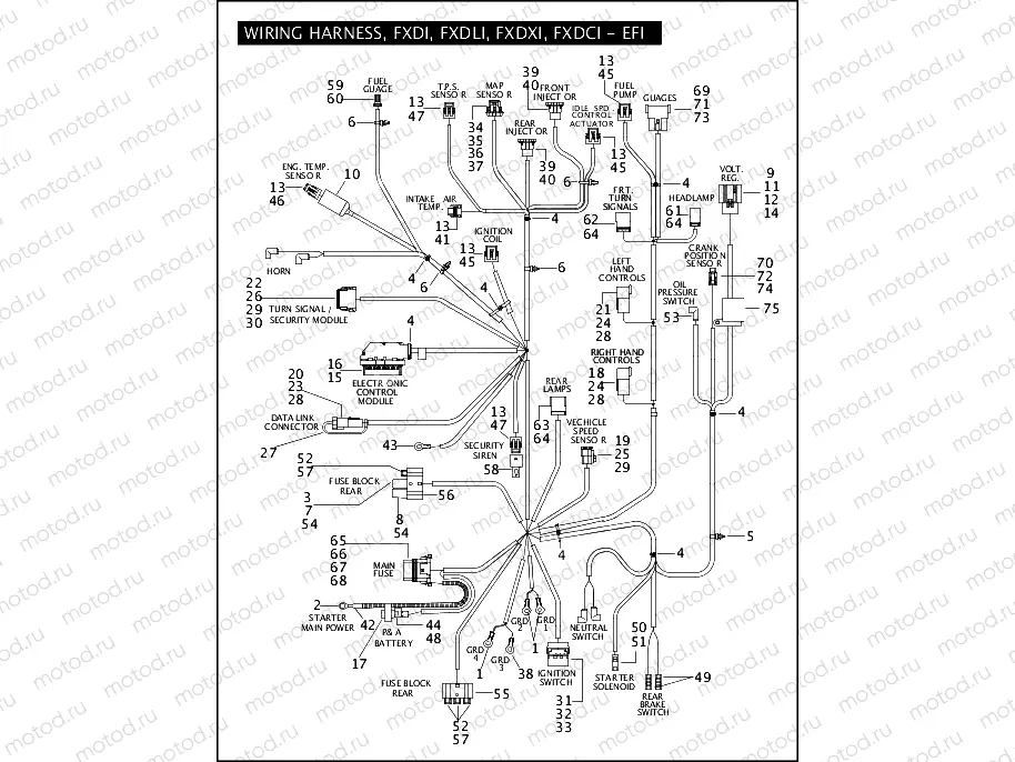 WIRING HARNESS, FXDI, FXDLI, FXDXI, FXDCI - EFI (1 OF 2)