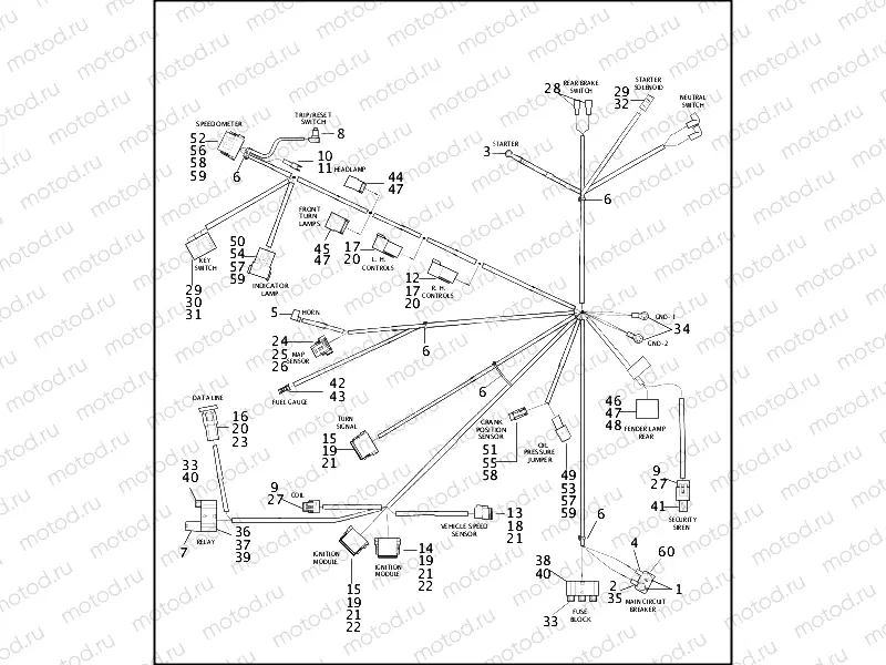WIRING HARNESS - FXDWG (1 OF 2)