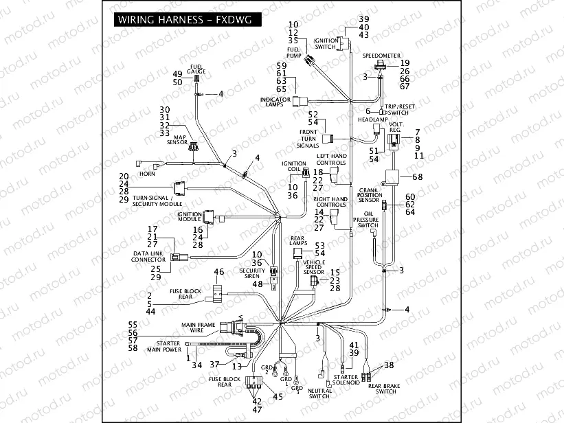 WIRING HARNESS - FXDWG (1 OF 2)