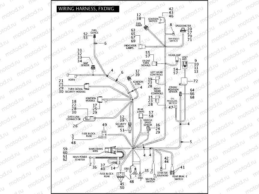 WIRING HARNESS, FXDWG (1 OF 2)