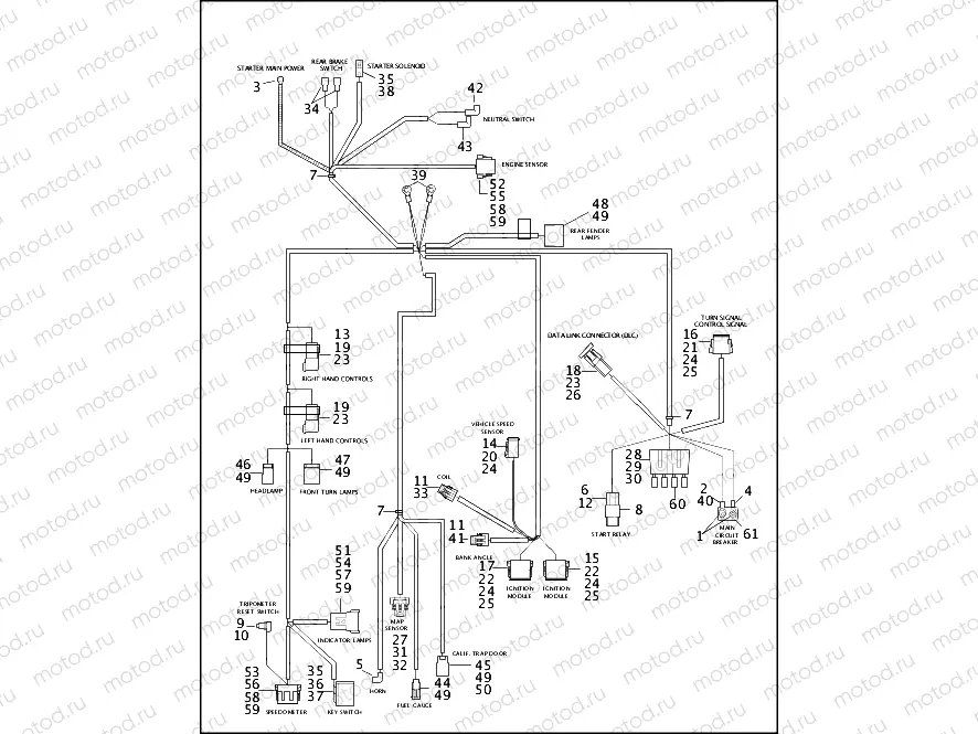 WIRING HARNESS - FXDWG (2 OF 2)