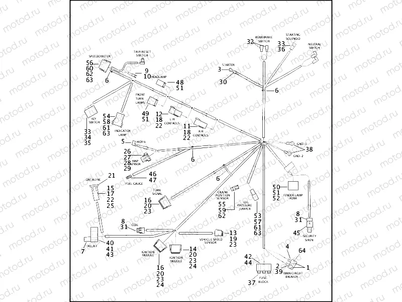 WIRING HARNESS - FXDWG (2 OF 2)