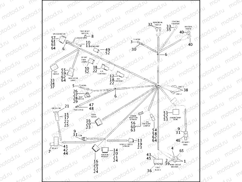 WIRING HARNESS - FXDWG (2 OF 2)