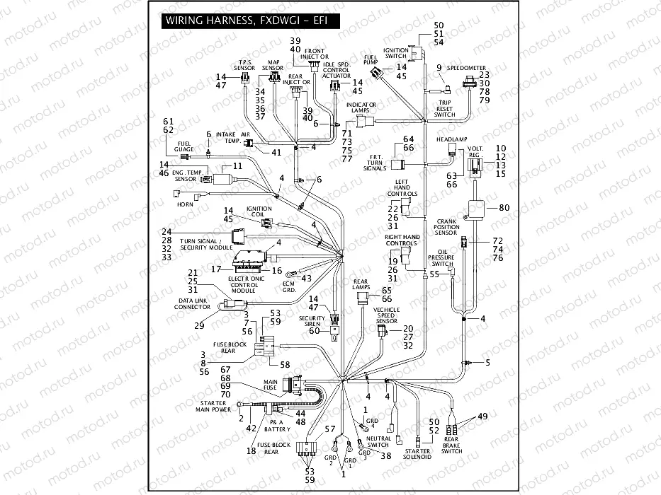 WIRING HARNESS, FXDWGI - EFI (1 OF 2)
