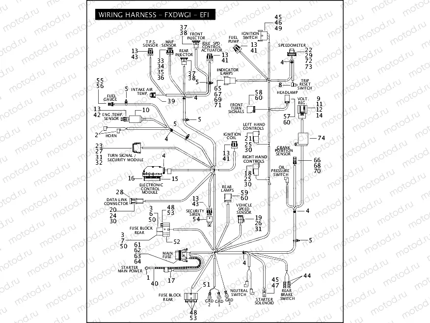 WIRING HARNESS - FXDWGI - EFI (2 OF 2)