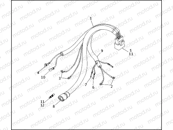 WIRING HARNESS - IGNITION MODULE