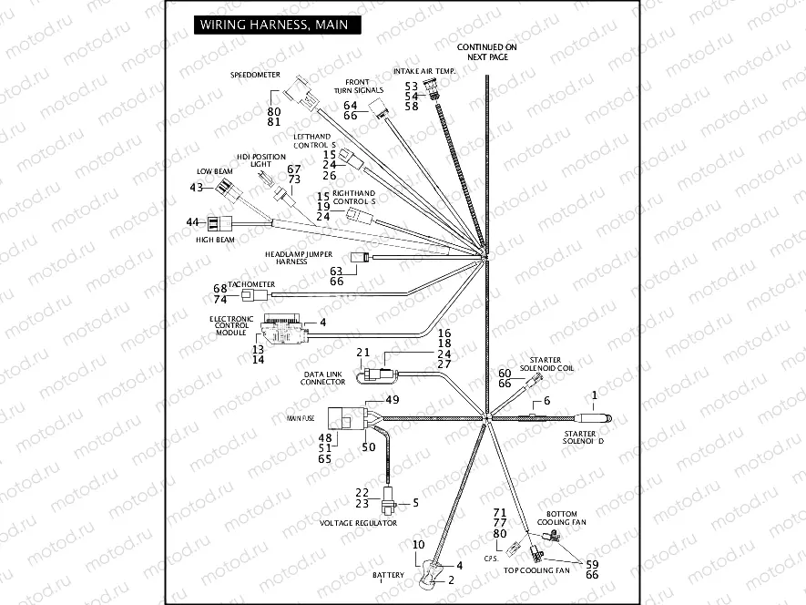 WIRING HARNESS, MAIN (1 OF 2)