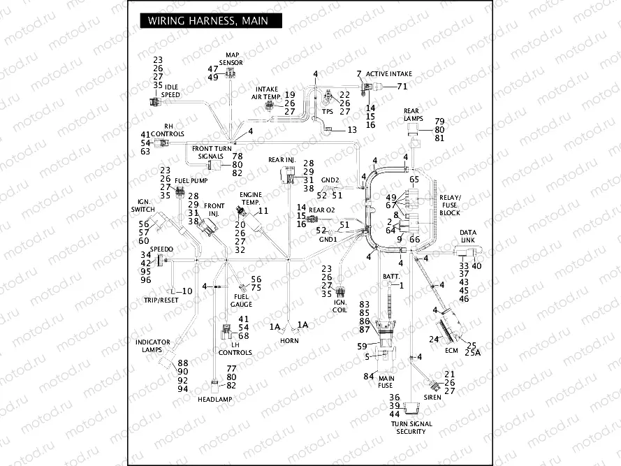 WIRING HARNESS, MAIN (1 OF 2)