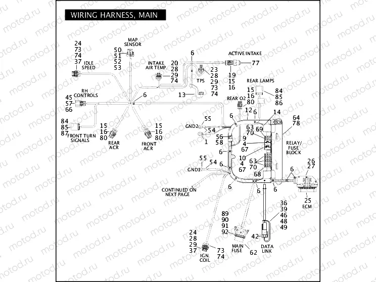 WIRING HARNESS, MAIN (1 OF 3)