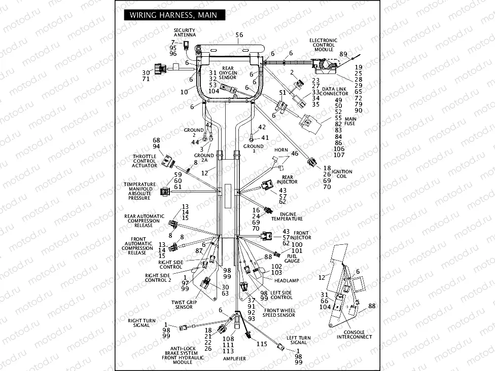 WIRING HARNESS, MAIN (1 OF 3)