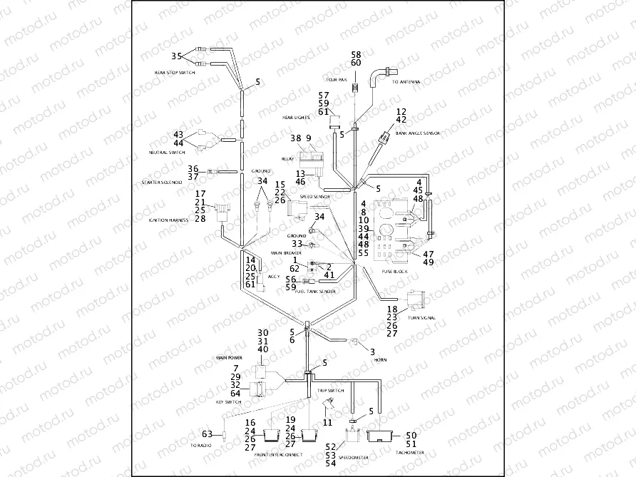 WIRING HARNESS, MAIN (2 OF 2)