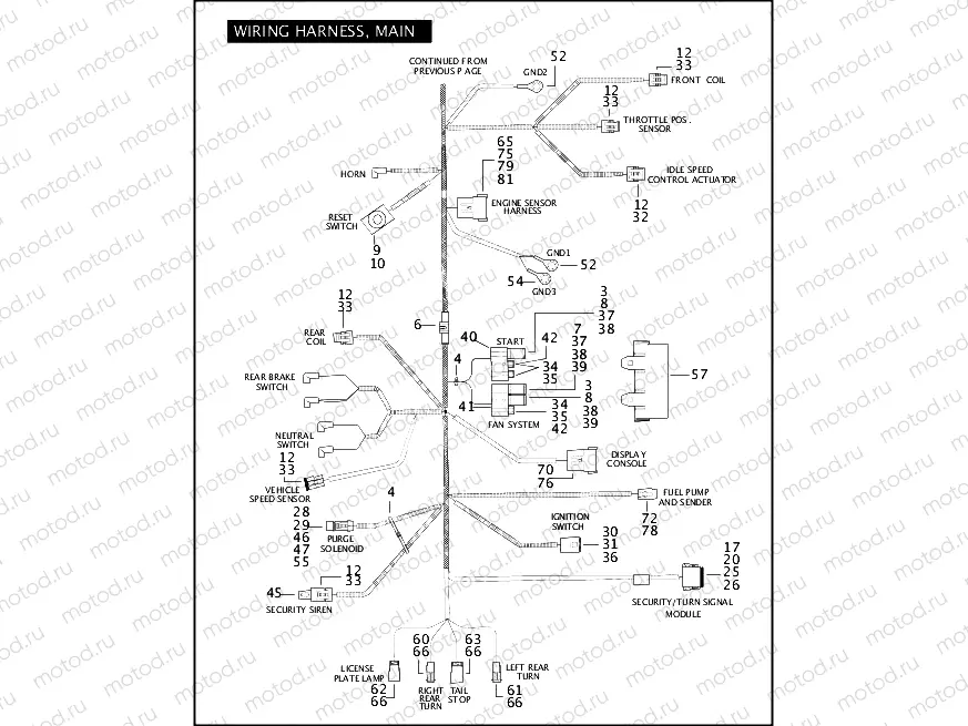WIRING HARNESS, MAIN (2 OF 2)