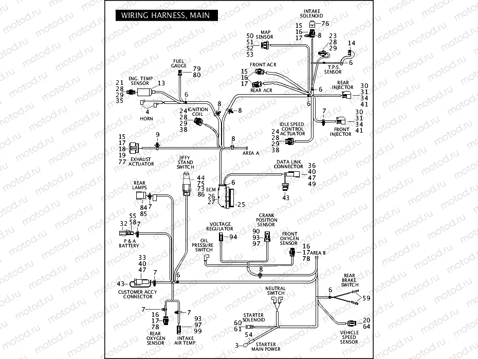 WIRING HARNESS, MAIN (2 OF 2)