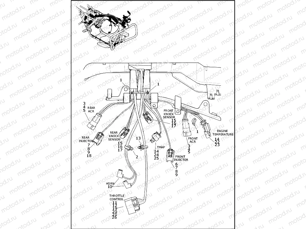 WIRING HARNESS, MAIN (3 OF 10)