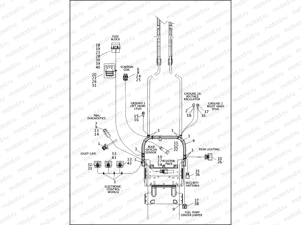 WIRING HARNESS, MAIN (3 OF 5)