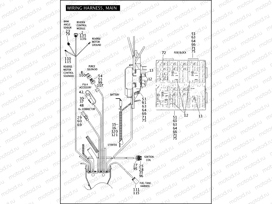 WIRING HARNESS, MAIN (3 OF 6)