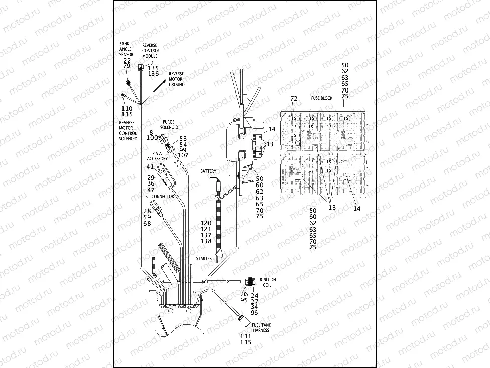 WIRING HARNESS, MAIN (3 OF 6)