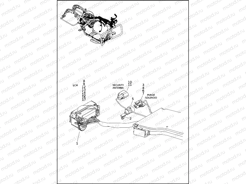 WIRING HARNESS, MAIN (4 OF 10)