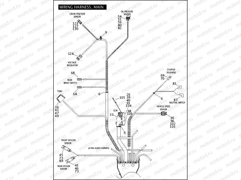 WIRING HARNESS, MAIN (5 OF 6)