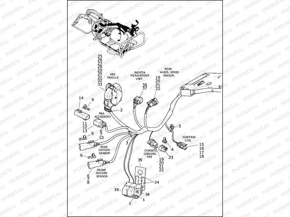 WIRING HARNESS, MAIN (7 OF 10)