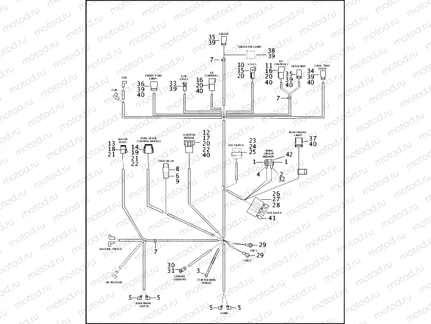WIRING HARNESS, MAIN