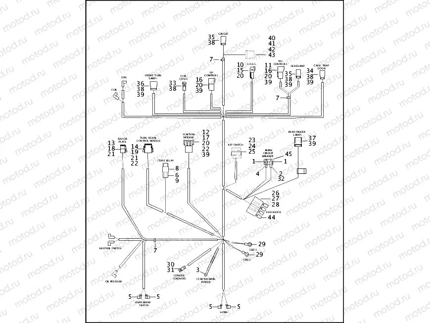 WIRING HARNESS, MAIN