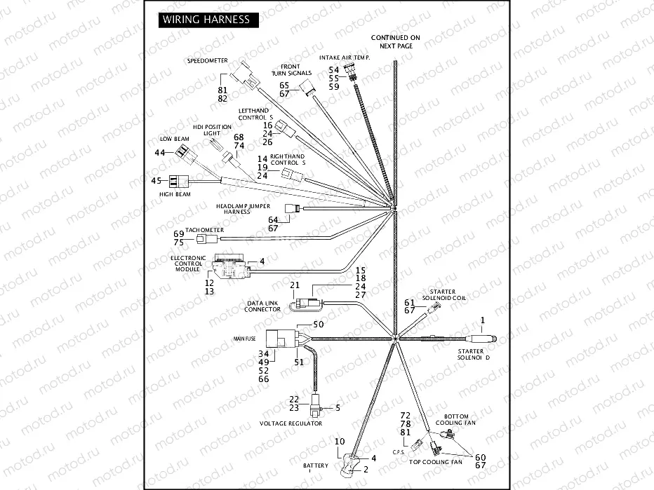 WIRING HARNESS, MAIN