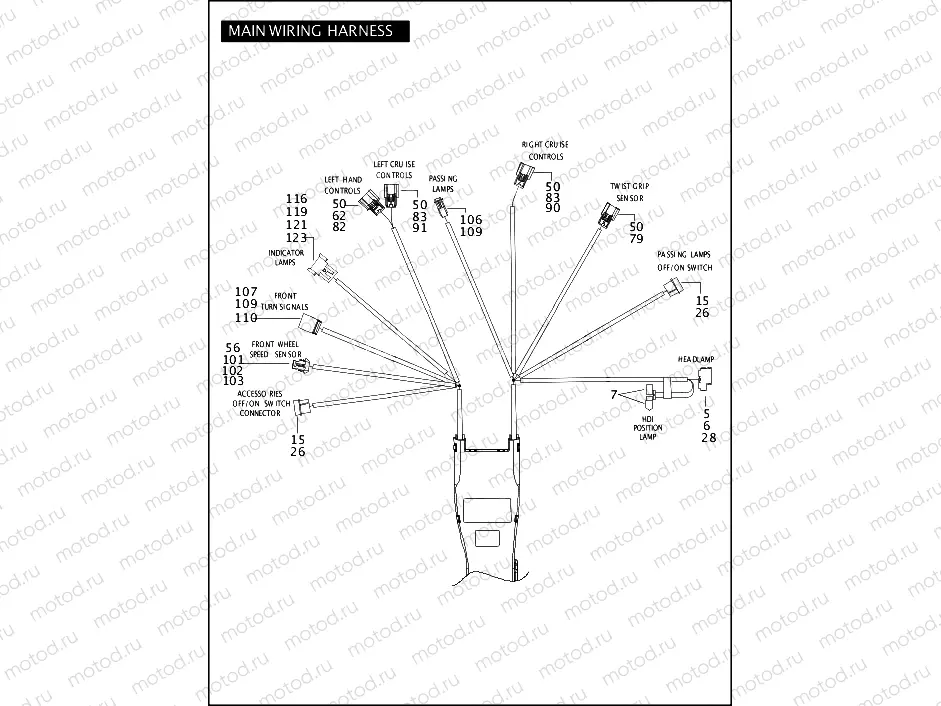 WIRING HARNESS, MAIN