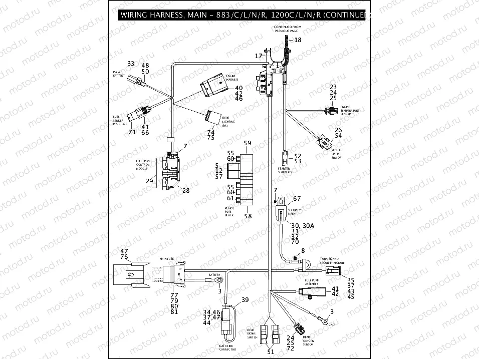 WIRING HARNESS, MAIN - 883/C/L/N/R, 1200C/L/N/R (2 OF 2)