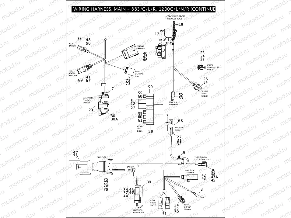 WIRING HARNESS, MAIN - 883/C/L/R, 1200C/L/N/R (CONTINUED)