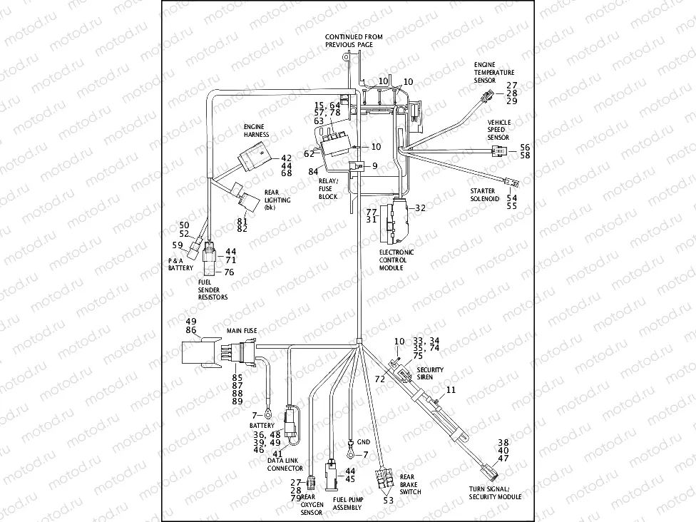 WIRING HARNESS, MAIN - 883L/N/R, 1200C/CA/CB/CP/V/X (3 OF 4)