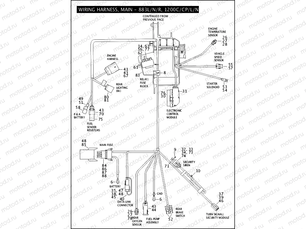 WIRING HARNESS, MAIN - 883L/N/R, 1200C/CP/L/N/X (2 OF 3)