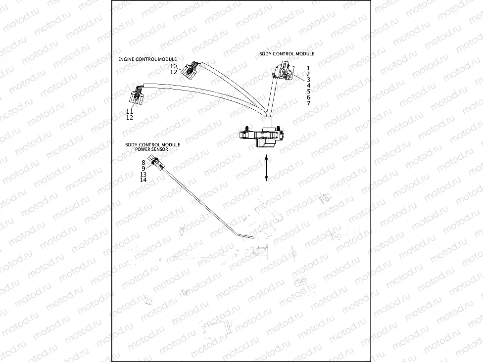 WIRING HARNESS, MAIN, ABS - ALL MODELS EXCEPT FXDLS (5 OF 10)
