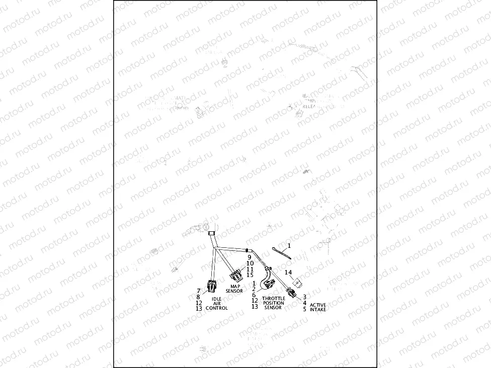 WIRING HARNESS, MAIN, ABS - ALL MODELS EXCEPT FXDLS (9 OF 10)