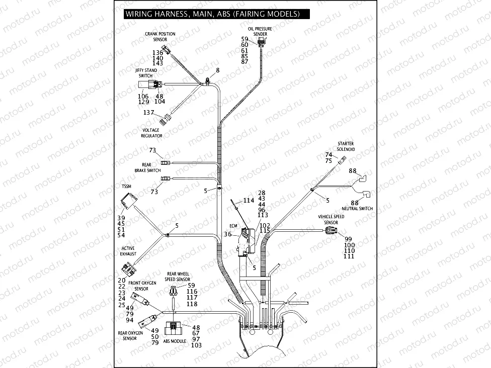 WIRING HARNESS, MAIN, ABS (FAIRING MODELS) (5 OF 6)