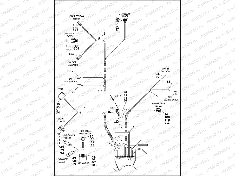 WIRING HARNESS, MAIN, ABS (FAIRING MODELS) (5 OF 6)