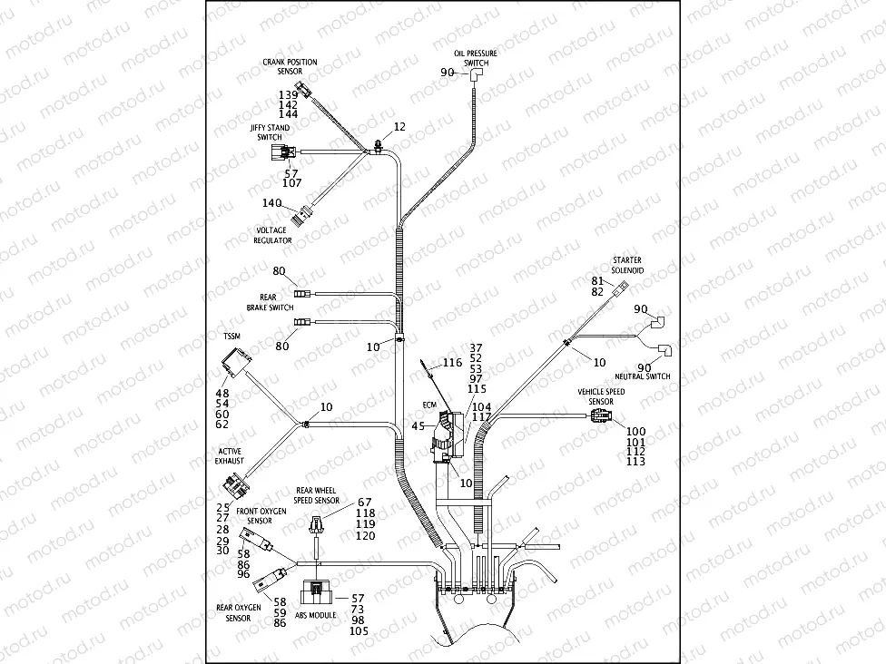 WIRING HARNESS, MAIN, ABS - FLHP (5 OF 5)