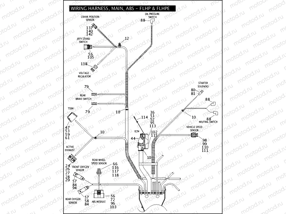 WIRING HARNESS, MAIN, ABS - FLHP & FLHPE (5 OF 5)