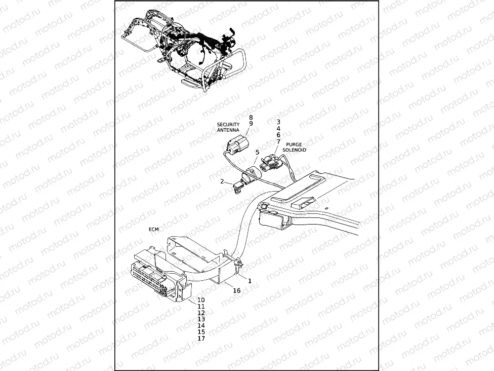 WIRING HARNESS, MAIN, ABS - FLHR, FLHRXS (4 OF 10)