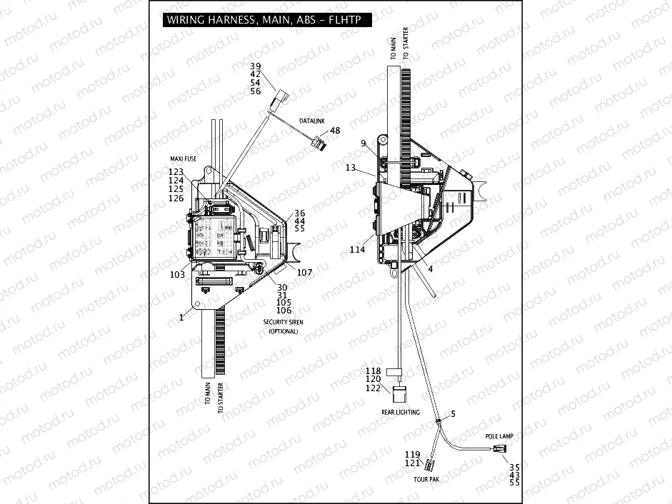 WIRING HARNESS, MAIN, ABS - FLHTP (4 OF 5)