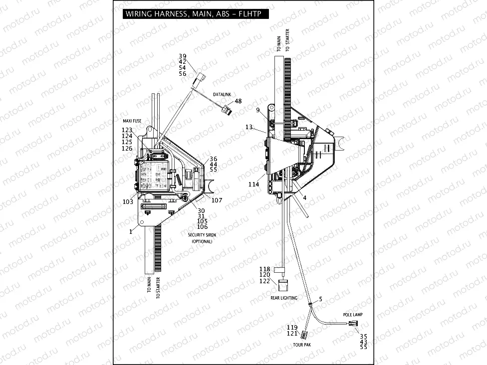 WIRING HARNESS, MAIN, ABS - FLHTP (4 OF 5)