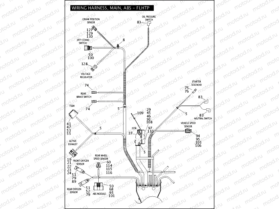 WIRING HARNESS, MAIN, ABS - FLHTP (5 OF 5)