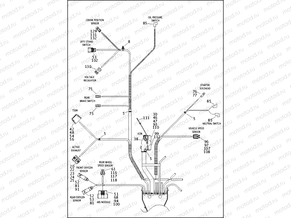 WIRING HARNESS, MAIN, ABS - FLHTP (5 OF 5)