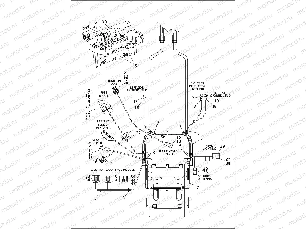 WIRING HARNESS, MAIN, ABS - FLSTC AND FLSTN (3 OF 5)