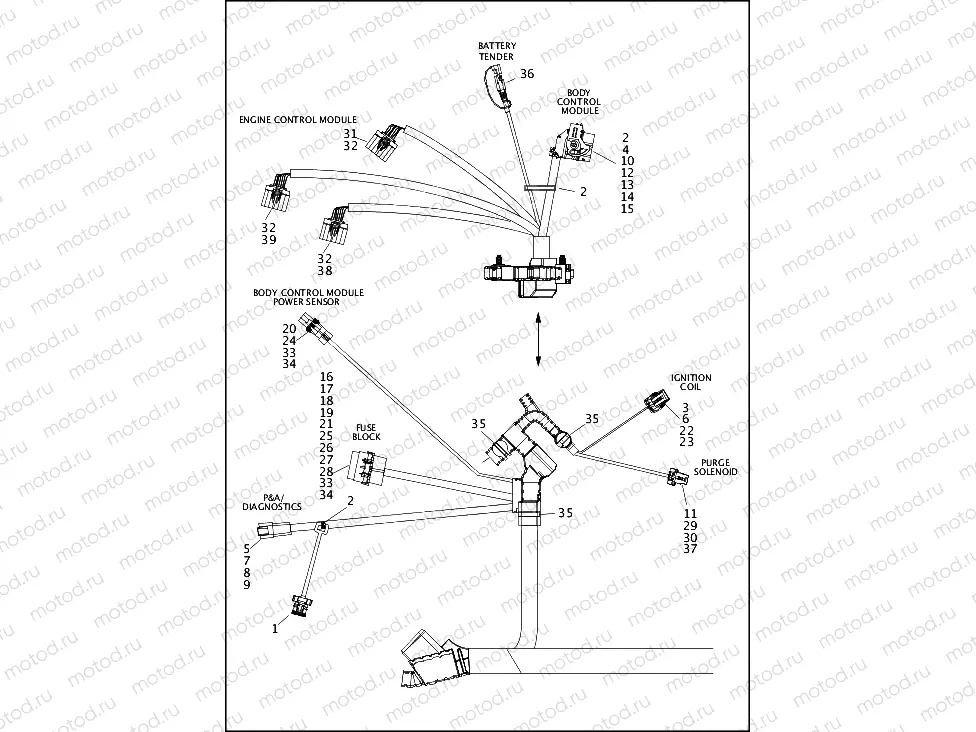 WIRING HARNESS, MAIN, ABS - FXDLS (4 OF 5)