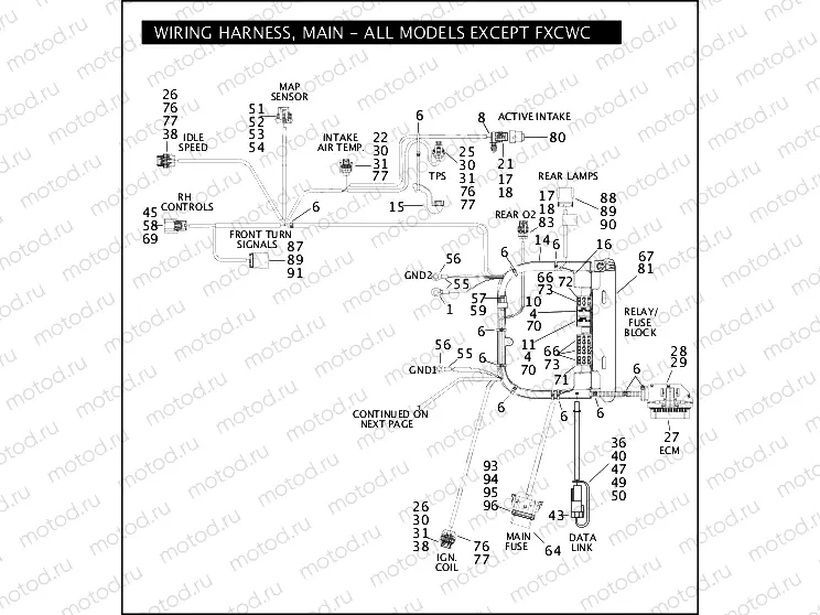 WIRING HARNESS, MAIN - ALL MODELS EXCEPT FXCWC (1 OF 3)